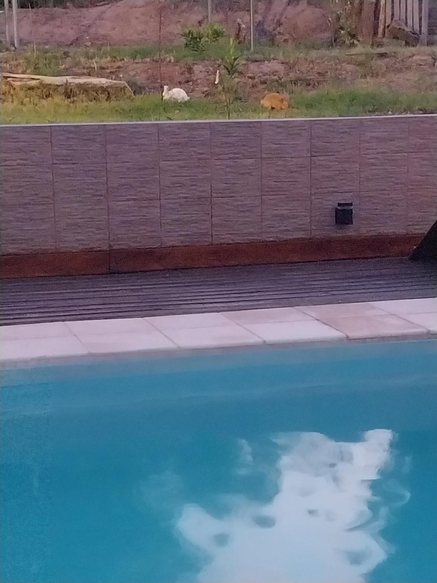 Apartamento Maipu Apart *